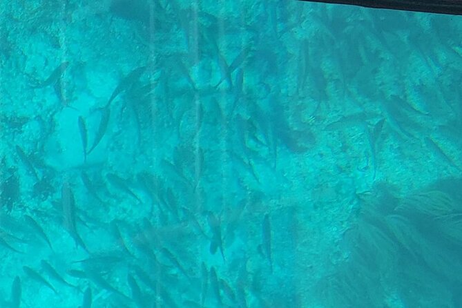 Night Tour Glass Bottom Boat in Islamorada - A 20-minute look at Alligator Reef Lighthouse
