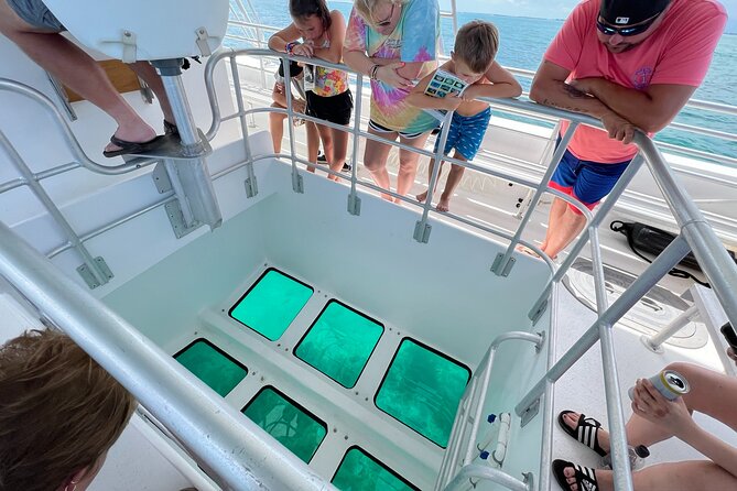 Night Tour Glass Bottom Boat in Islamorada - What marine life you might see
