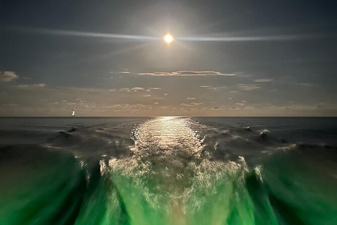 Night Tour Glass Bottom Boat in Islamorada - Is $86 a fair price?