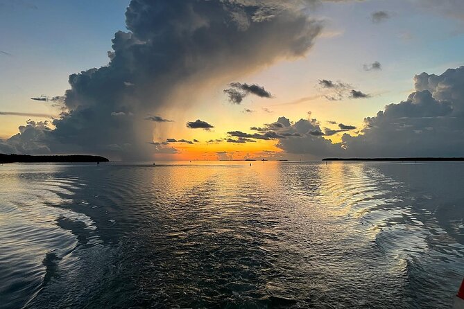 Night Tour Glass Bottom Boat in Islamorada - Timing, meeting point, and cancellation details