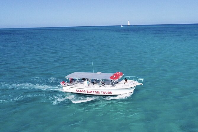Night Tour Glass Bottom Boat in Islamorada - Seeing the reefs after dark