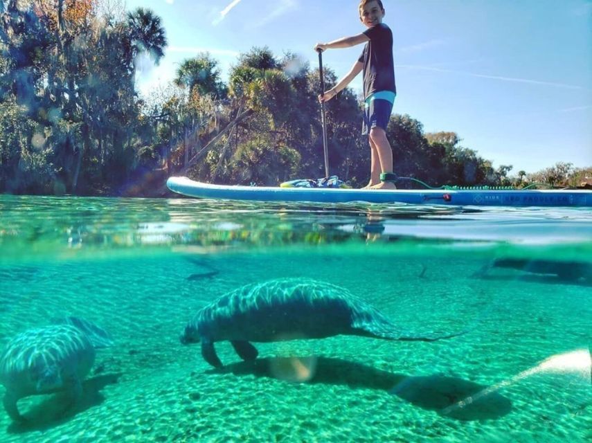 North Miami: Nature & Island Exploration on SUP/Kayak - Starting at Venetian Marina with CATARIA