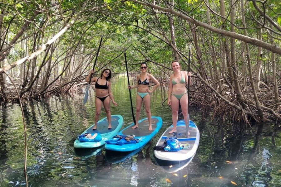 North Miami: Nature & Island Exploration on SUP/Kayak - Island stops, raccoons, birds, and changing expectations