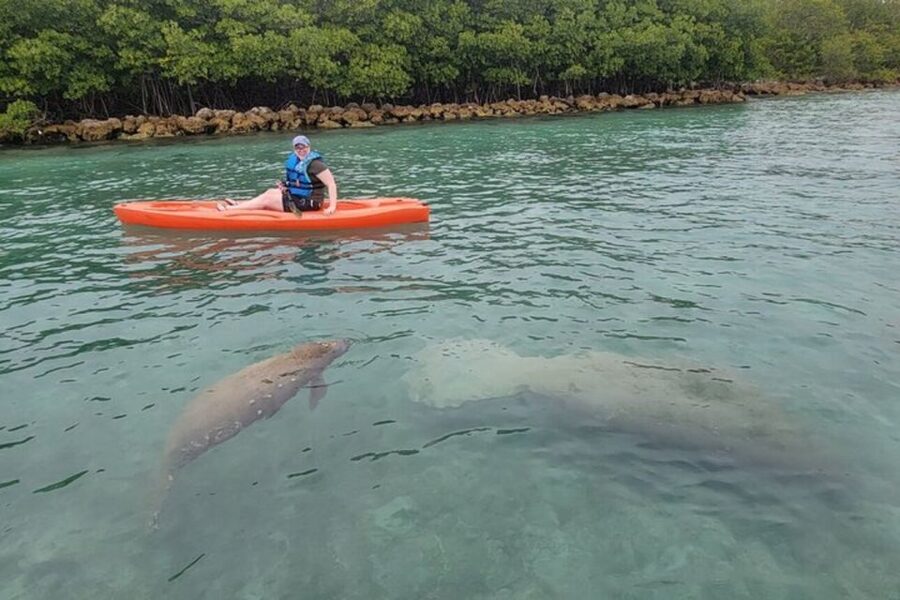 North Miami: Nature & Island Exploration on SUP/Kayak - Snacks, swimming, and the return to shore