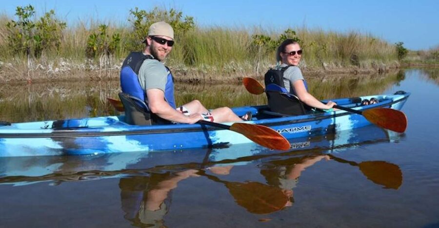 Ochopee: Half-Day Mangrove Tunnel Kayak Tour - Key points to know before you book