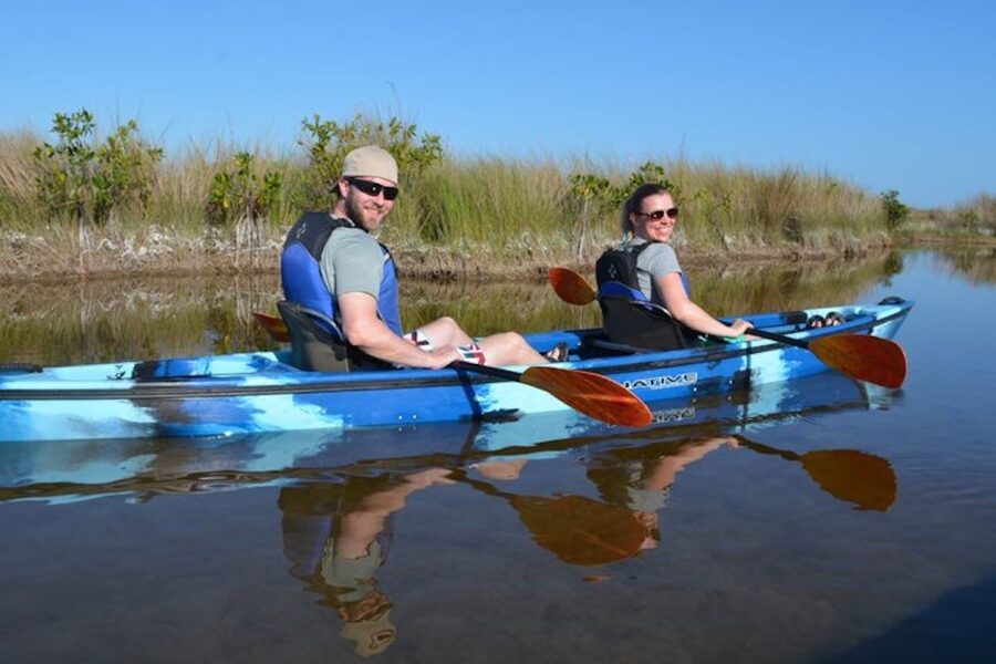 Ochopee: Half-Day Mangrove Tunnel Kayak Tour - Why paddling the Everglades feels different