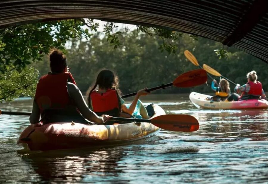 Oleta River State Park: Eco Kayak or Paddleboard Tour - Paddling from Oleta River toward Biscayne Bay
