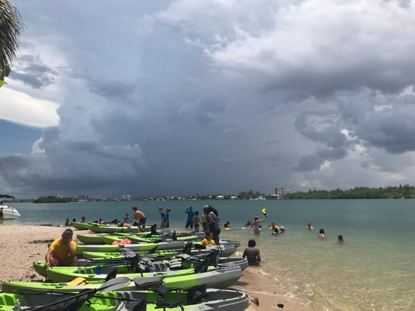 Oleta River State Park: Eco Kayak or Paddleboard Tour - Choosing between a kayak and a paddleboard