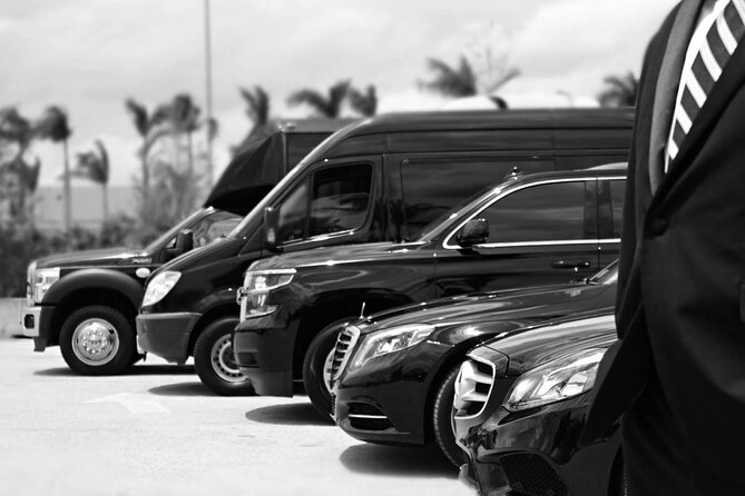 One-Way Transfer from the Airport to the Cruise Port - Key points to know before you book