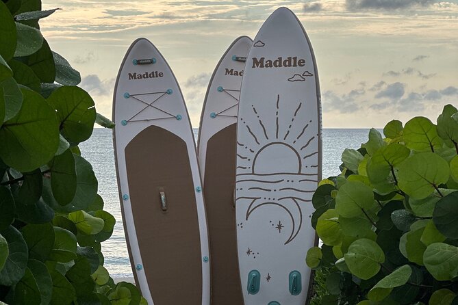 Paddle Board Picnic Peanut Island Palm Beach Singer Island - Paddling toward Peanut Island Park