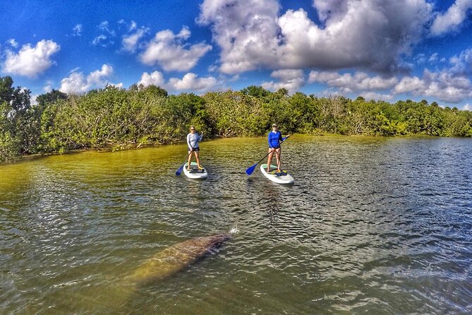 Paddle Boarding Eco Adventure Tour Jupiter Florida - Singer Island - Fullerton and Sawfish Island: the heart of the paddle