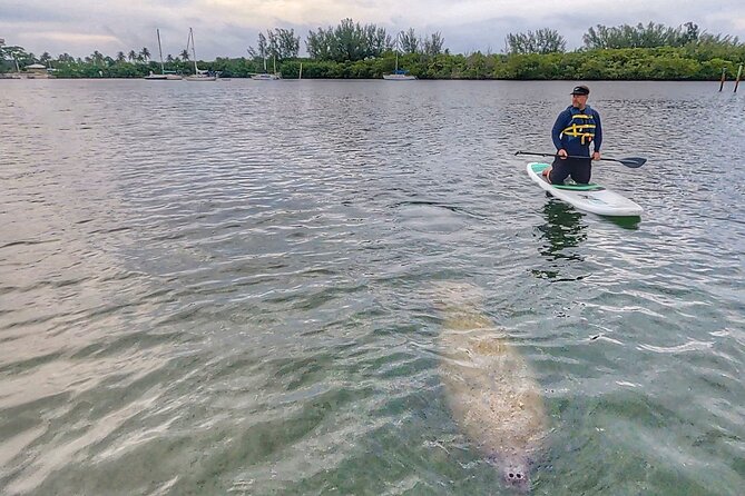 Paddle Boarding Eco Adventure Tour Jupiter Florida - Singer Island - The possible run toward the Jupiter sandbar