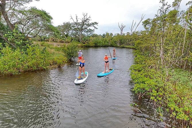 Paddle Boarding Eco Adventure Tour Jupiter Florida - Singer Island - Photos, equipment, and what the $77 price covers