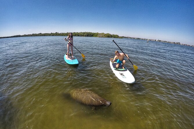 Paddle Boarding Eco Adventure Tour Jupiter Florida - Singer Island - The calm route through Lake Worth Creek