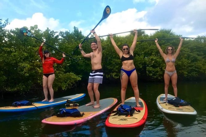 Paddle Boarding Rentals - Key points to know before you paddle