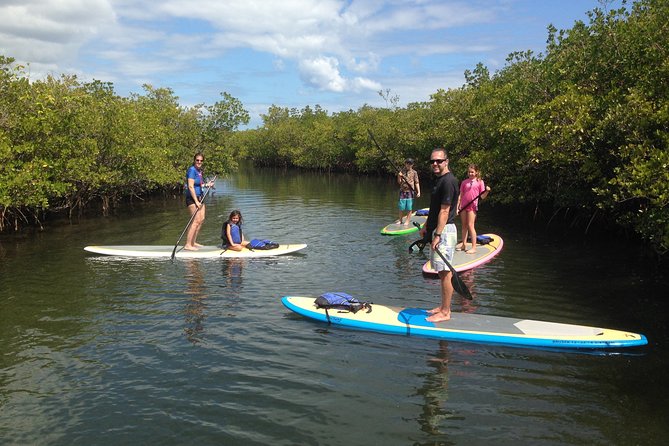 Paddle Boarding Rentals - Getting comfortable on the paddleboard