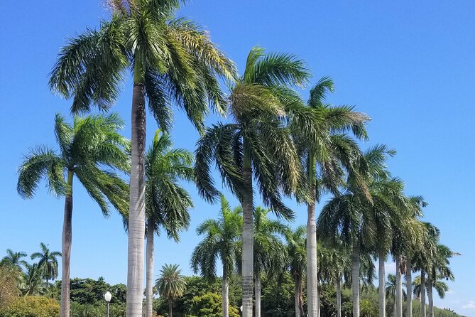 Palm Beach Tour from Miami - Flagler's Museum + Hotel Breakers - Why Palm Beach is worth a day from Miami