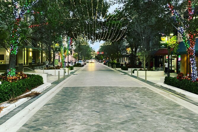 Party Bike Tour on Clematis Street, Downtown West Palm Beach - What the Clematis Street party bike is really like