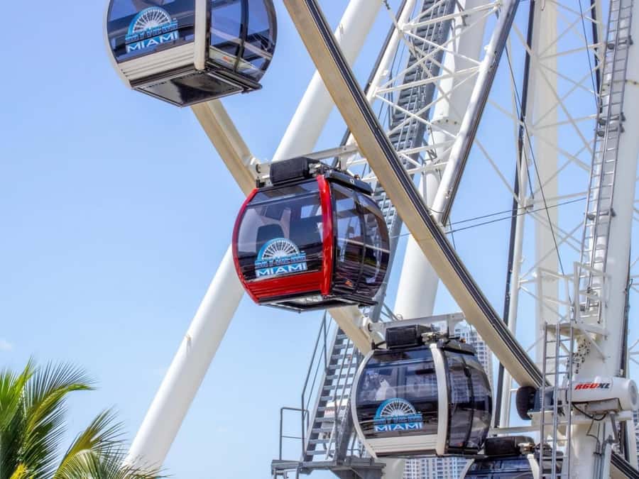 Passin Miami: 30+ Attractions, eSIM & 1-Way Airport Transfer - Two cruises, two different views of Miami