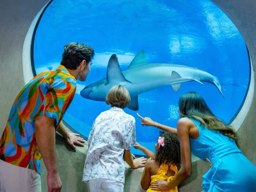 Passin Miami: 30+ Attractions, eSIM & 1-Way Airport Transfer - Animals, family attractions, and outdoor activity