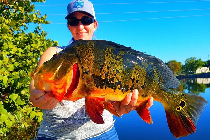 Peacock Bass Fishing Trip in Boynton Beach - A private peacock bass outing near Boynton Beach