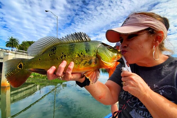 Peacock Bass Fishing Trip near Miami South Beach - The wildlife bonus along the canals