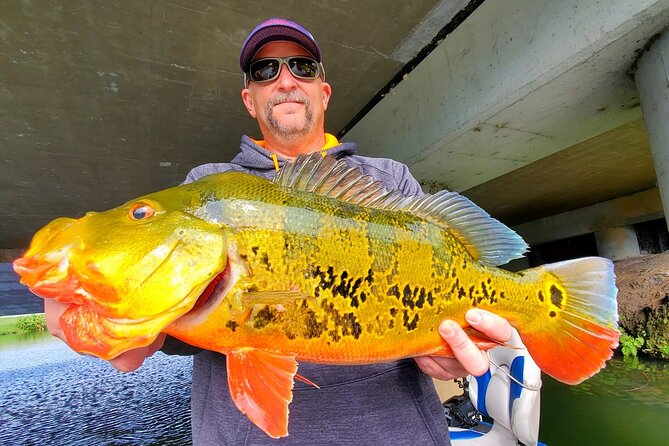 Peacock Bass Fishing Trip near Miami South Beach - Four hours is enough for a half-day plan