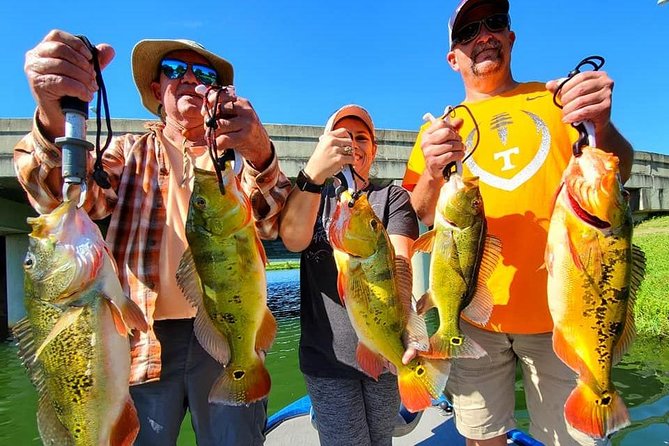Peacock Bass Fishing Trips near Boca Raton - Why the private price can make sense