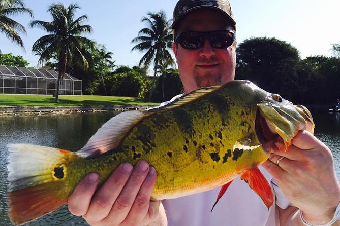 Peacock Bass Fishing Trips near Boca Raton - The guides make the difference