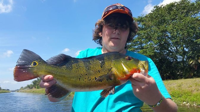 Peacock Bass Fishing Trips Near Key Largo - Why peacock bass fishing feels different
