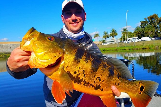 Peacock Bass Fishing Trips Near Miami Florida - Key points to know before you book