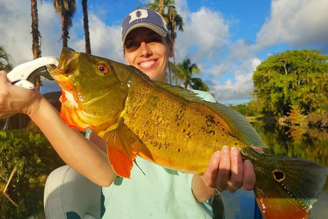 Peacock Bass Fishing Trips Near Miami Florida - Fishing for peacock bass, clown knife fish, and more