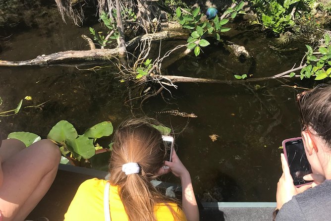 Private 1.5-Hour Airboat Tour of Miami Everglades - What the 90-minute ride feels like