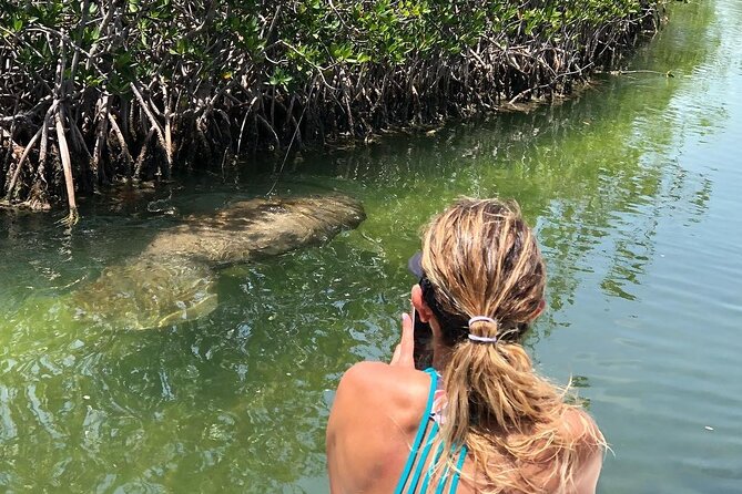 Private 2 hour Mangrove Ecotour - Setting out from 77522 Overseas Hwy