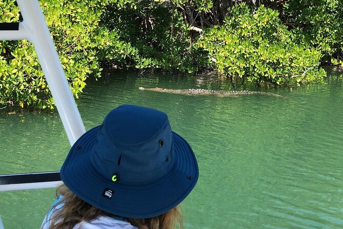Private 2 hour Mangrove Ecotour - Weather, cancellations, and planning the day