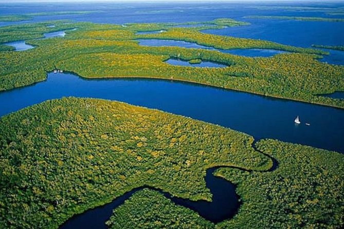Private 4 Hour Everglades Tour with shared Airboat - From Miami streets to Everglades water