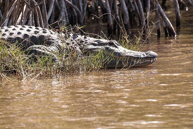 Private 4-hour Tour of Everglades from Miami Dade - Who will enjoy this half-day outing?