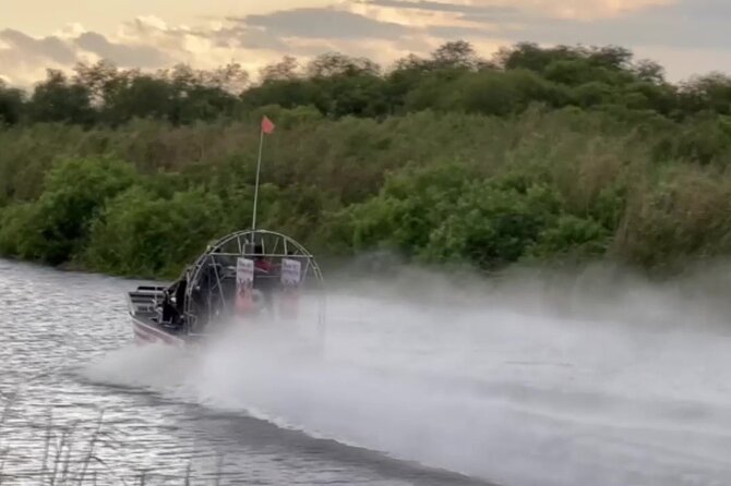 Private 90 Minutes Everglades Airboat Adventure - Looking for alligators, birds, and iguanas