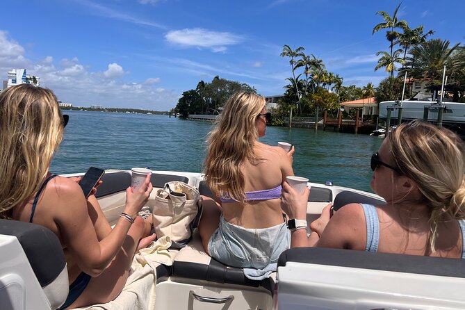 Private Boat Tour - Snorkeling, Star Island & Dolphin Spotting - Raccoon Island and the limits of a wild-animal stop