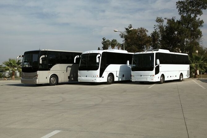 Private Cruise Port Transfer from MIA Airport or Any Miami Hotel - The ride itself, from curb to terminal