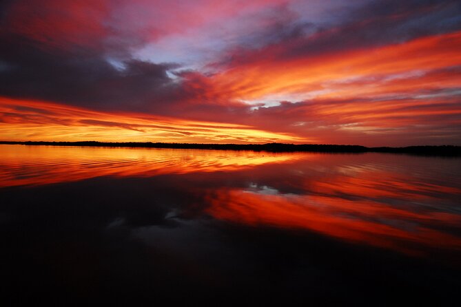 Private Everglades 10,000 Islands Photo and Birding Boat Safari - Why the 10,000 Islands setting matters