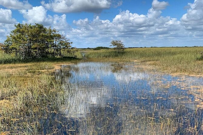 Private Everglades Tour:Explore the Beauty of the Everglades - A private way to enter the Everglades