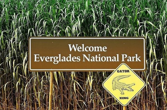 Private Everglades Tour: Explore the Beauty of the Everglades - The best fit for this Everglades outing