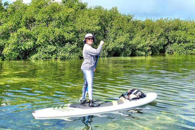 Private Guided Kayak or SUP Eco Adventure - Looking for Manatees, Stingrays, and Birds