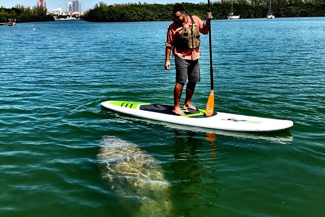 Private Guided Kayak or SUP Eco Adventure - The Value of a $99 Private Outing