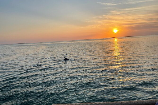 Private Islamorada Sunset Cruise - Making Hog Heaven part of the evening