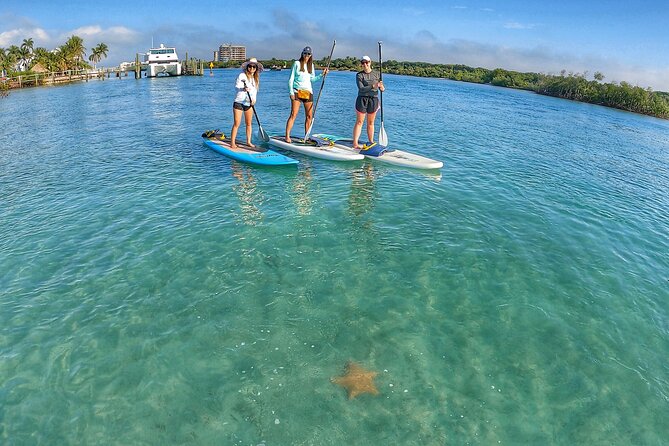 Private Jupiter Island Guided Paddle Boarding Tour - Why an Early Morning Time Makes Sense