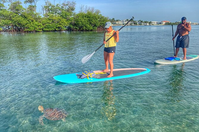 Private Jupiter Island Guided Paddle Boarding Tour - What the $85 Price Really Covers