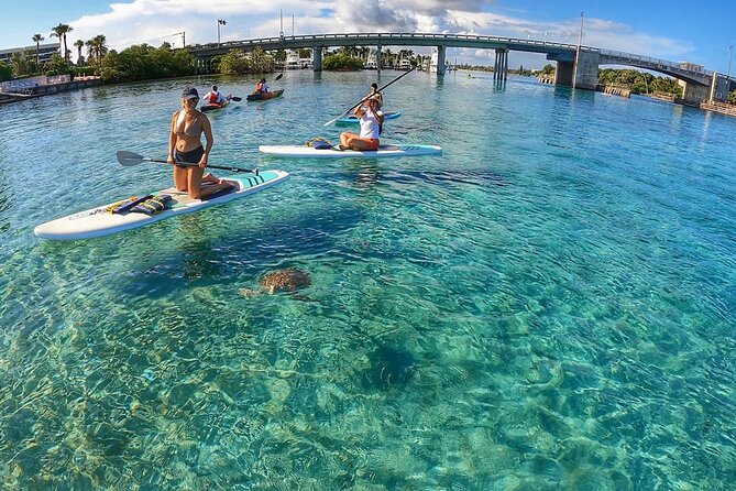 Private Jupiter Island Guided Paddle Boarding Tour - Learning the Basics Before You Paddle