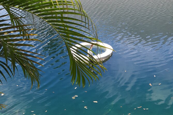 Private Magic City Tour with Transfers Experience - Fifteen minutes in Coconut Grove